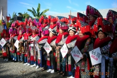 12th-Annual-King-Pan-Festival-11-17-2007-166